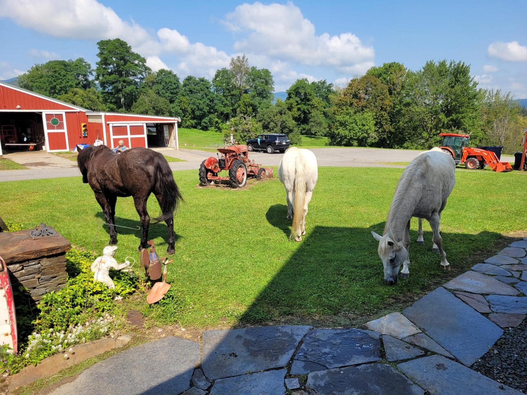 Clover Hill Farm & Country Inn 威廉斯敦 外观 照片
