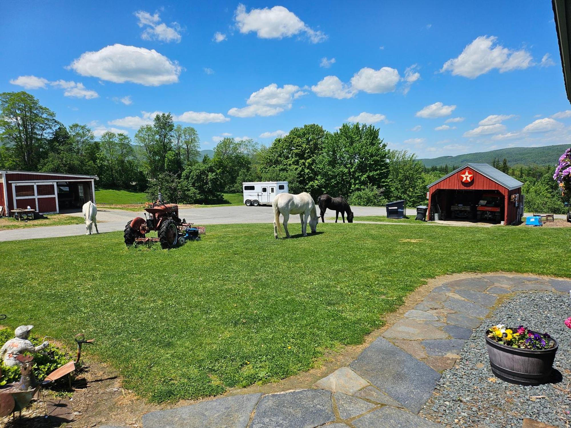 Clover Hill Farm & Country Inn 威廉斯敦 外观 照片